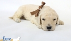 Emma_Bentley_March20_3Wk_MrBrown_04