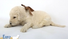 Emma_Bentley_March20_3Wk_MrBrown_07