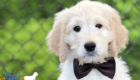 Lucy_Bentely_March2021_10WK_Mr. Brown_1