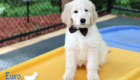Lucy_Bentely_March2021_10WK_Mr. Brown_10