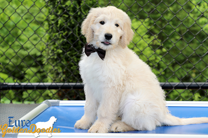 Lucy_Bentely_March2021_10WK_Mr. Brown_8 Lucy_Bentely_March2021_10WK_Mr. Brown_8