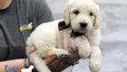 Lucy_Bentley_March2021_6WK_Mr Brown_6