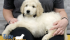 Lucy_Bentley_March2021_8WK_Mr. Brown_4
