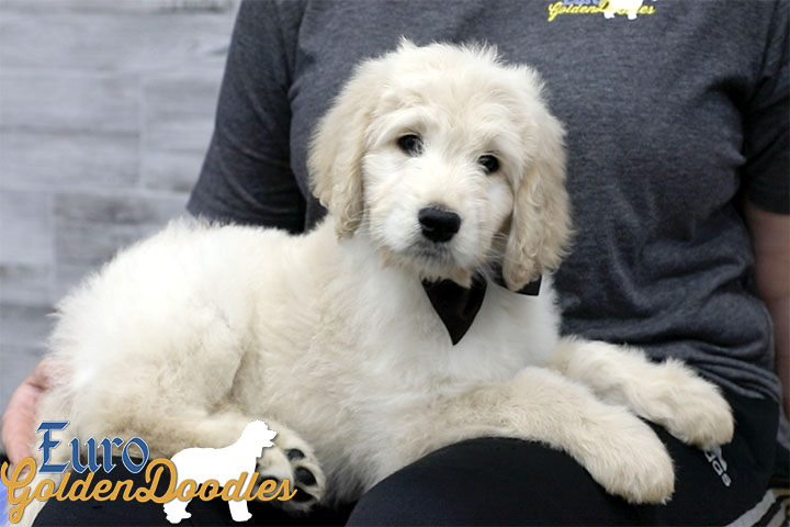 Lucy_Bentley_March2021_8WK_Mr. Brown_6 Lucy_Bentley_March2021_8WK_Mr. Brown_6