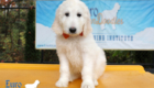 Lucy_Tucker_Aug2021_10WK_Ms Orange_5