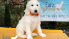 Lucy_Tucker_Aug2021_10WK_Ms Orange_6