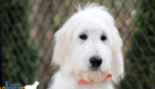 Lucy_Tucker_Aug2021_18WK_Mr. Orange_6