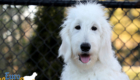 Lucy_Tucker_Aug21_24WK_Mr. Orange12