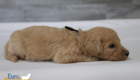 mr.black penny hendrix apr25 4wks2