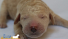 mspeach dolly brady may28 newborns1