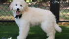 tuckerfeature
