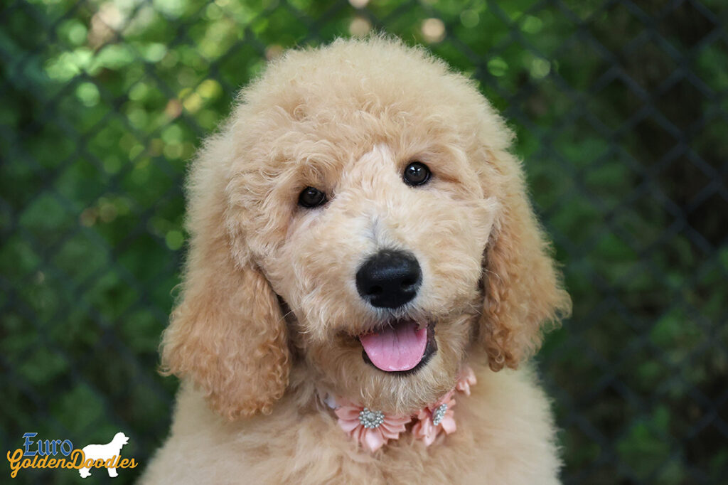 ms.peach dolly brady may26 12weeks7