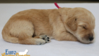mspink dolly brady may26 2wks1