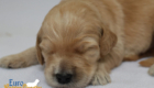 mspink dolly brady may26 2wks2