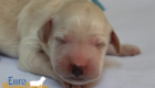 mspowderblue dolly brady may28 newborns1