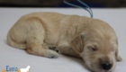 mspwdrblue dolly brady may26 2wks2